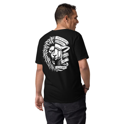 Mens organic cotton t-shirt